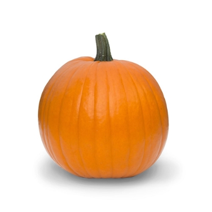 Picture of Pumpkin Wicked F1